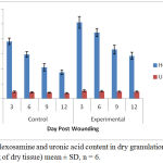 Figure 2: Hexosamine and uronic acid content in dry granulation tissue (µg/100mg of dry tissue) mean ± SD, n = 6.