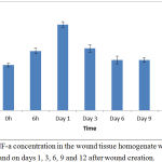 Figure 5: TNF-a concentration in the wound tissue homogenate was measured at 0 and 6 h and on days 1, 3, 6, 9 and 12 after wound creation.