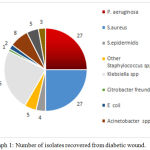 Graph 1: Number of isolates recovered from diabetic wound.