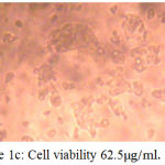 Figure 1c: Cell viability 62.5μg/ml.