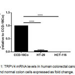 Figure 1: TRPV4 mRNA levels in human colorectal cancer cell lines and normal colon cells expressed as fold change.