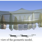 Figure 1: Frontal view of the geometric model.