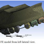 Figure 4: FE model from left lateral view.