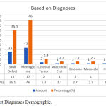 Figure 3: Patient Diagnoses Demographic.