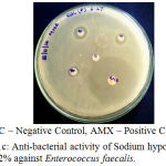Figure 1c: Anti-bacterial activity of Sodium hypochlorite plain 5.2% against Enterococcus faecalis.