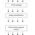 Figure 4: Parallel ensemble SVM classifier.