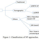 Figure 1: Classification of NF approaches.