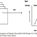 Figure 2: Sequence of Images Recorded with Respect to Time in fMRI and a Pixel Time Series.