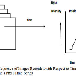 Power Spectral Density Analysis of Time Series of Pixel of Functional ...