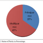 Figure 2: Status of Parity in Percentage.