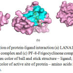 Figure 2: Pymol visualization of protein-ligand interaction (a) LANA1-Frigocyclinone complex, (b) vIRF3-Frigocyclinone complex and (c) PF-8-Frigocyclinone complex which represents different color such as green color of ball and stick structure – ligand; pink color of surface structure – protein; cyans color of active site of protein – amino acids residues; yellow – hydrogen bond interaction.