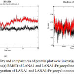 Figure 4: The stability and compactness of protein plot were investigated through MD simulations at 20 ns (a) RMSD of LANA1 and LANA1-Frigocyclinone complex and (b) Radius of gyration of LANA1 and LANA1-Frigocyclinone complex.