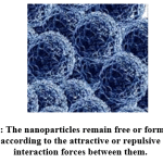 Figure 1: The nanoparticles remain free or form groups according to the attractive or repulsive interaction forces between them.