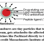 Figure 10: Nanoburrs are tiny particles that travel through the blood stream, gets attached to the affected arteries and deliver medicines like Paclitaxel directly to the damaged tissue.(Image credit Massachusetts Institute of Technology).