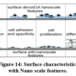 Figure 14: Surface characteristics with Nano scale features.