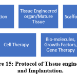 Figure 15: Protocol of Tissue engineering and Implantation.