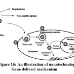 Figure 16: An illustration of nanotechnology Gene delivery mechanism