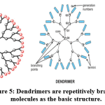 Figure 5: Dendrimers are repetitively branched molecules as the basic structure. PAMAM is the most well-known dendrimer