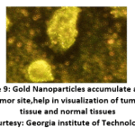 Figure 9: Gold Nanoparticles accumulate at the tumor site, help in visualization of tumor tissue and normal tissues (Courtesy: Georgia institute of Technology).
