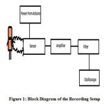 Figure 1: Block Diagram of the Recording Setup