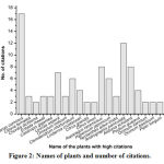 Figure 2: Names of plants and number of citations.