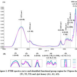 FTIR and Elementary Analysis of Trigona Honey, Apis Honey and ...