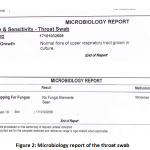 Figure 2: Microbiology report of the throat swab