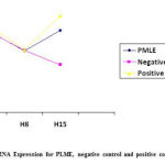 Figure 1: Trend IL-10 mRNA Expression for PLME, negative control and positive control in H1, H8 and H15