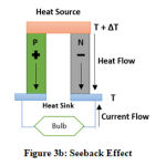 Figure 3b: Seeback Effect