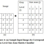 Figure 4: (a) Sample Input Image (b) Corresponding Gray Level Size Zone Matrix Classifier