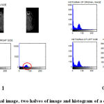 Figure 6: Histogram of an original image, two halves of image and histogram of a difference image of case 1 and 2