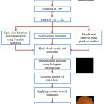 Figure 2: Proposed method for automated microaneurysms detection