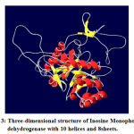 Figure 3: Three-dimensional structure of Inosine Monophosphate dehydrogenase with 10 helices and 8sheets.