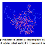 Figure 7: Superimposition Inosine Monophosphate dehydrogenase (represented in blue color) and 3FFS (represented in red color).