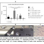 Figure 2: (A) Average (±SEM) of lactic acid bacteria colonies from mice's intestine upon purple sweet potato yogurt intervention.