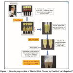 Figure 1: Steps in preparation of Platelet Rich Plasma by Double Centrifugation28