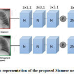 Figure 2: Schematic representation of the proposed Siamese network’s architecture.