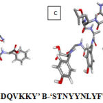 Figure 1: Structures of epitopes A-‘FSDDQVKKY’ B-‘STNYYNLYF’ C-‘KTNLSAYGY’ D-‘WTNSDYRFY’