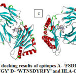 Figure 2: Visualization of docking results of epitopes A- ‘FSDDQVKKY’ B- ‘STNYYNLYF’