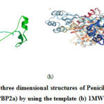 Figure 1: (a) Predicted three dimensional structures of Penicillin-Binding Protein 2a