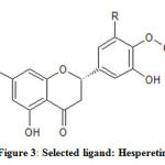 Figure 3: Selected ligand: Hesperetin