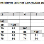 Table 7: Similarity matrix between different Chenopodium ambrosioides