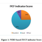 Figure 1: WHO based IYCF indicator Score
