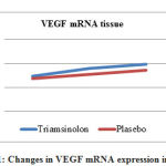 Figure 1: Changes in VEGF mRNA expression in tissues