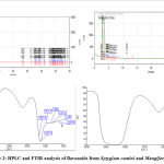 Figure 2: HPLC and FTIR analysis of flavonoids from Syzygium cumini and Mangifera indica.