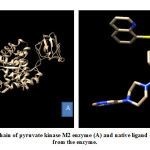 Figure 2: A chain of pyruvate kinase M2 enzyme (A) and native ligand (B) separated from the enzyme.