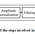 Figure 2: The schematic of the steps involved in the preprocessing stage.