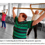 Figure 1: Conducting physical therapy with gymnastic apparatus