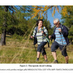 Figure 2: Therapeutic dosed walking