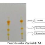 Figure 1: Separation of curcumin by TLC